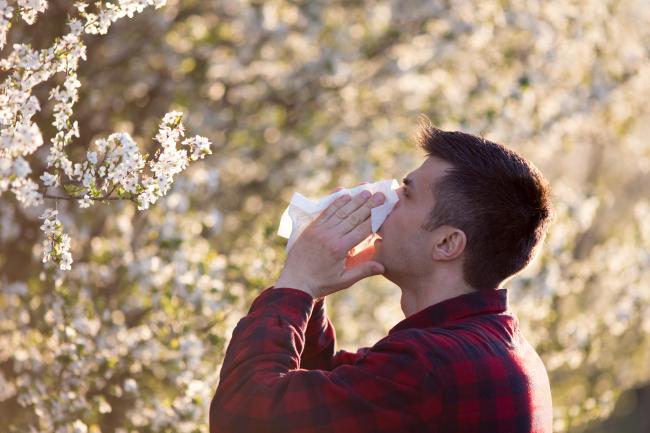 Allergies - A man sneezing
